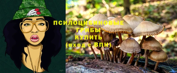 МДПВ Наволоки