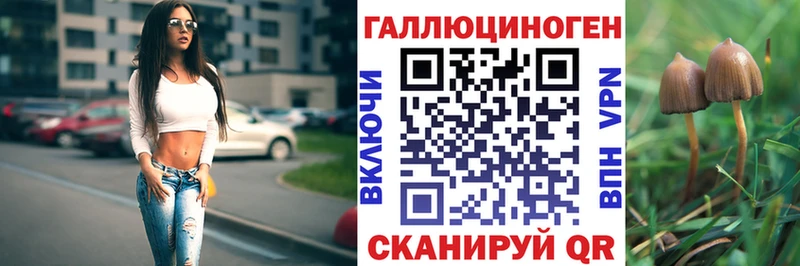 Купить  Родники  Псилоцибиновые грибы Psilocybine cubensis 